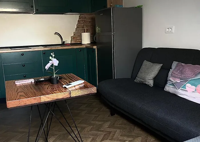 Pekacozyapartaments Tirana